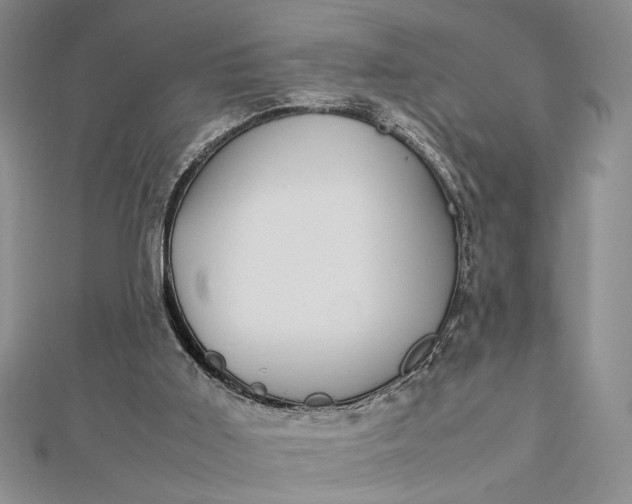 X0000112790011200909041421