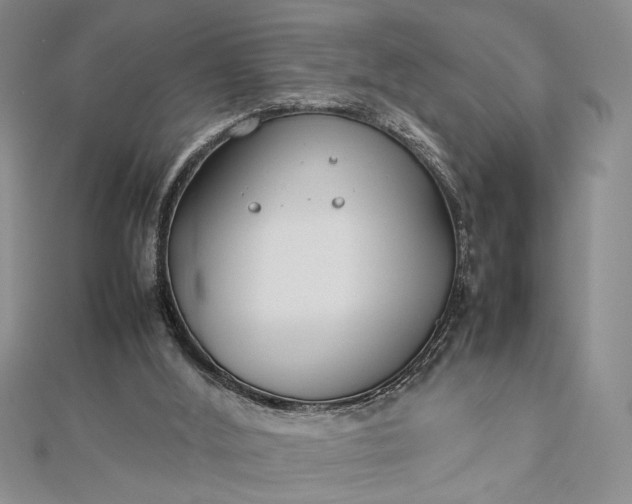 X0000112790012200909041421