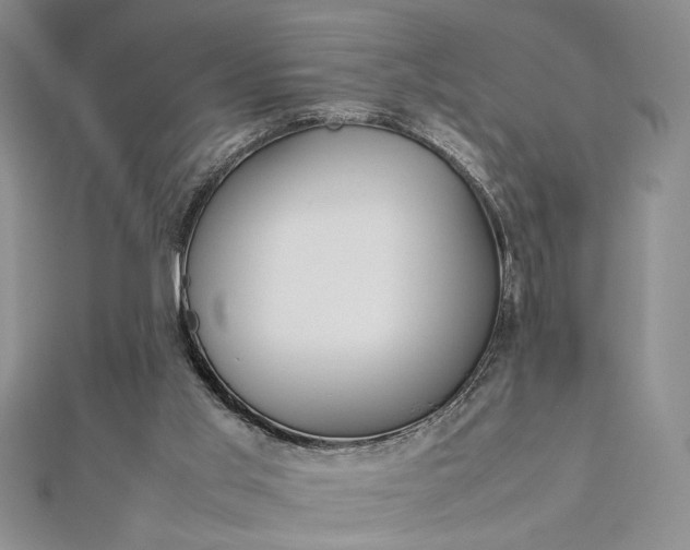 X0000112790013200909041421