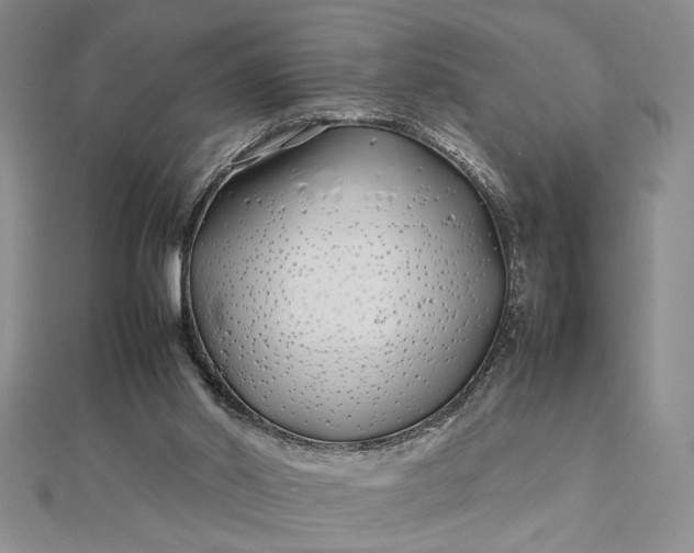 X0000112790014200909041421