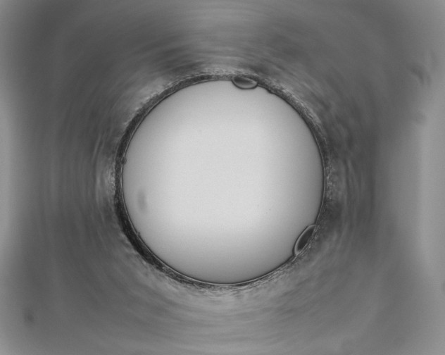 X0000112790015200909041421