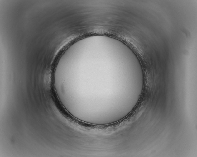 X0000112790016200909041421