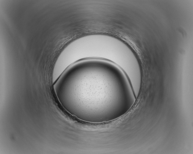 X0000112790017200909041421