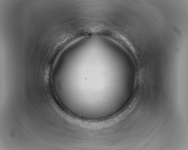 X0000112790018200909041421