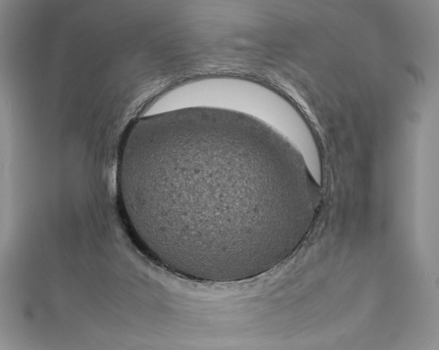 X0000112790019200909041421