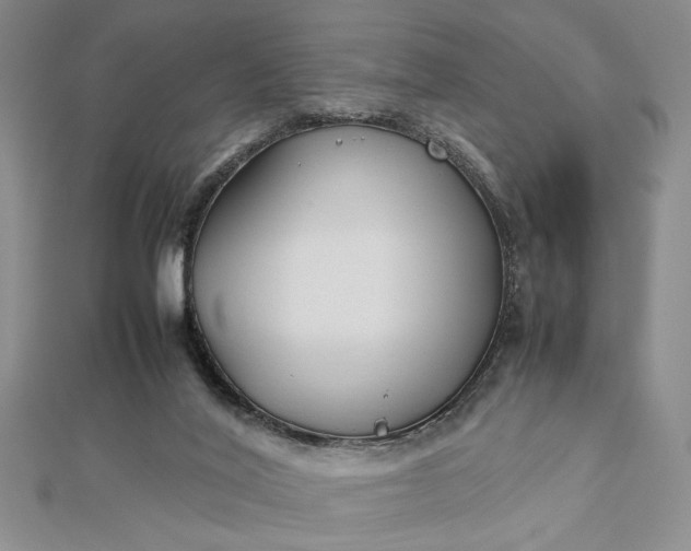 X0000112790020200909041421