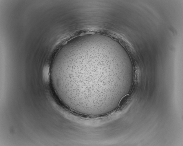 X0000112790024200909041421