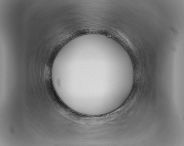 X0000112790025200909041421