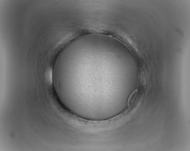 X0000112790027200909041421