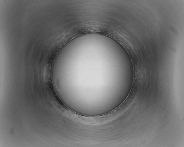 X0000112790030200909041421