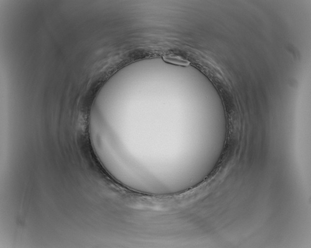 X0000112790033200909041421