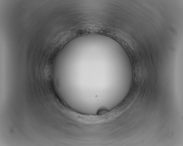 X0000112790034200909041421