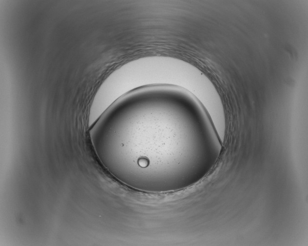 X0000112790037200909041421