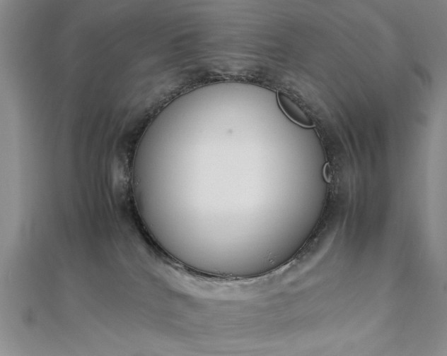 X0000112790040200909041421