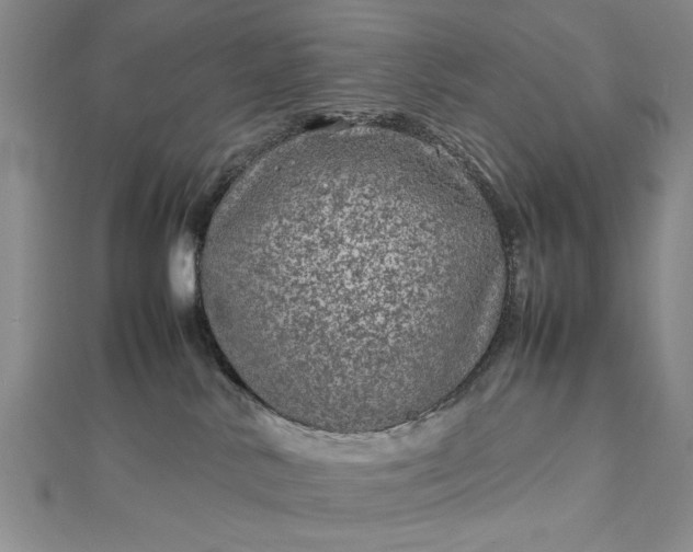 X0000112790042200909041421