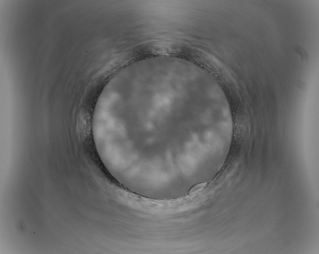 X0000112790043200909041421