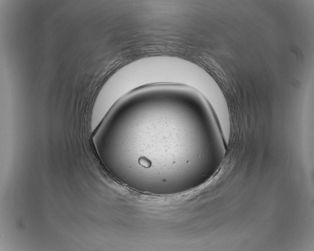 X0000112790045200909041421