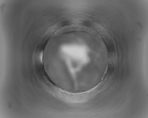 X0000112790047200909041421