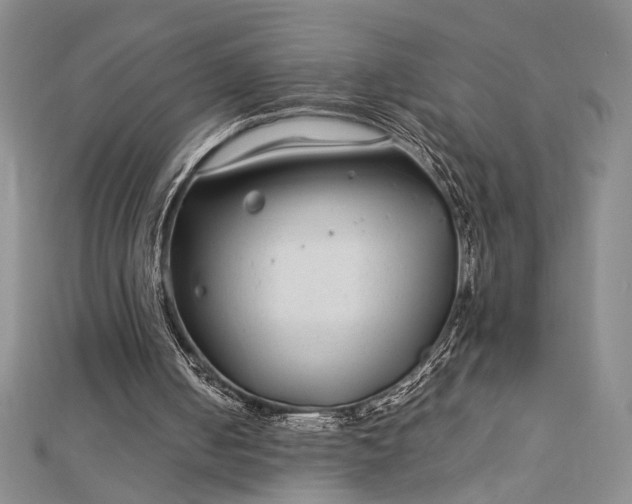 X0000112790050200909041420