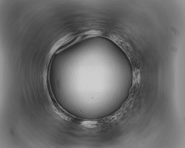 X0000112790051200909041420