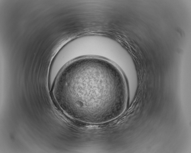 X0000112790052200909041420