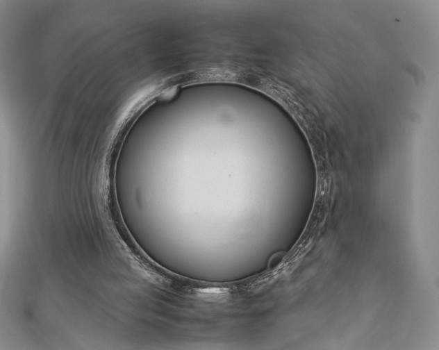 X0000112790053200909041420