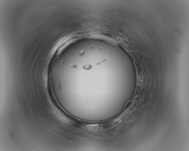 X0000112790054200909041420