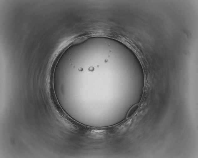 X0000112790055200909041420