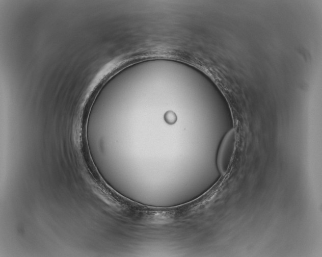 X0000112790056200909041420