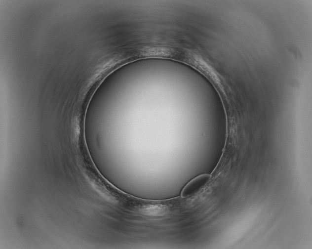 X0000112790059200909041420