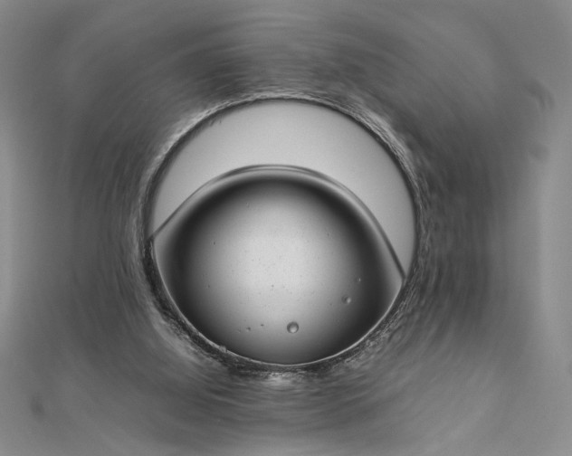 X0000112790060200909041420