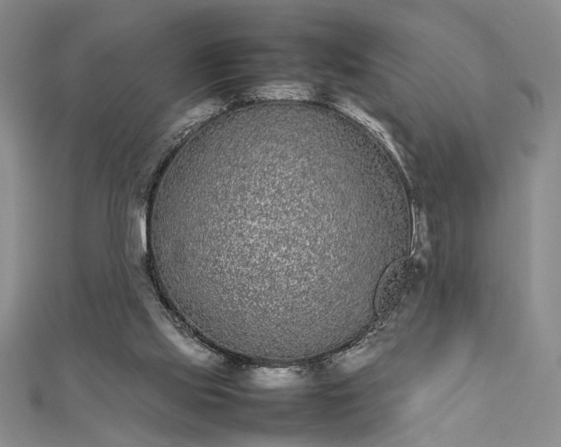 X0000112790061200909041420