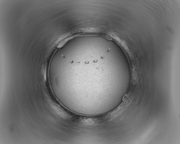 X0000112790062200909041420