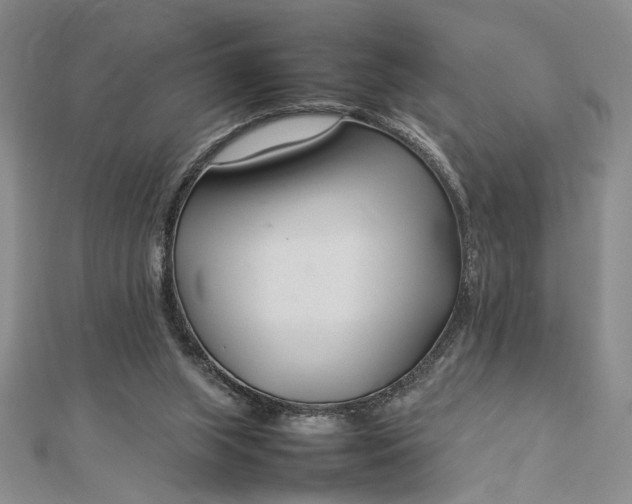 X0000112790063200909041420