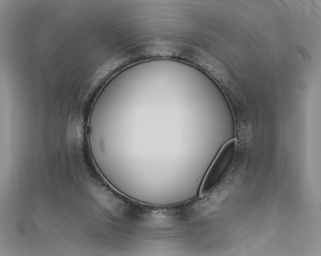 X0000112790064200909041420