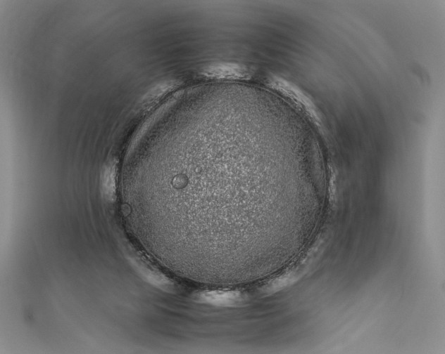 X0000112790065200909041420