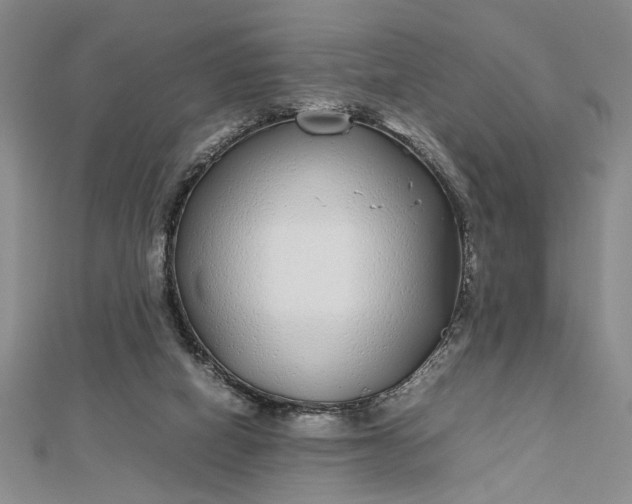 X0000112790066200909041420