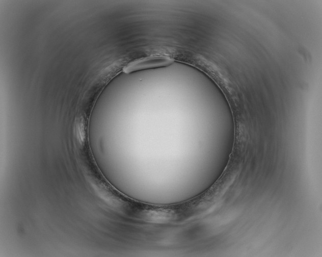 X0000112790069200909041420