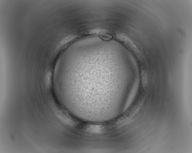 X0000112790071200909041420