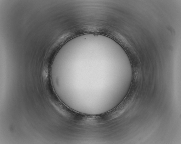 X0000112790072200909041420