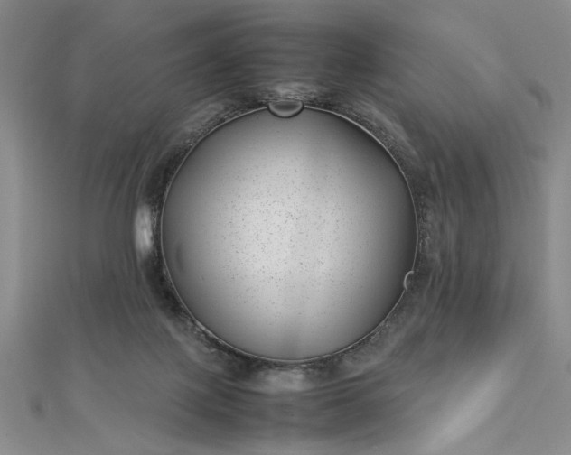 X0000112790075200909041420