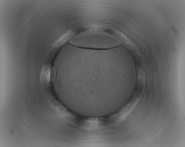 X0000112790076200909041420