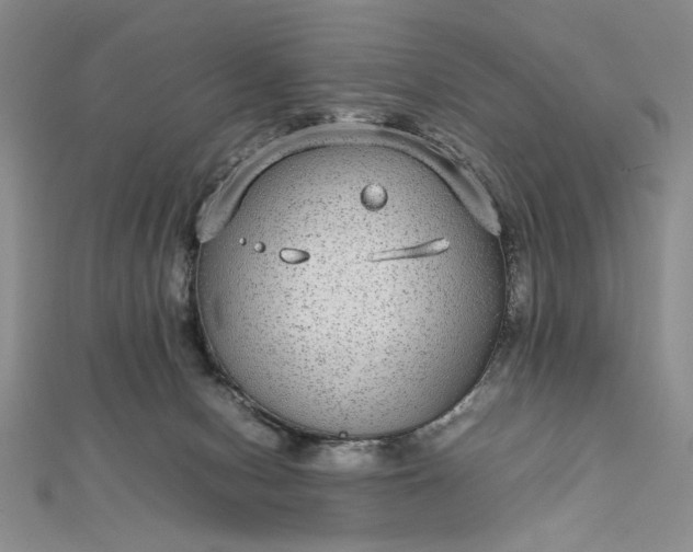 X0000112790078200909041420