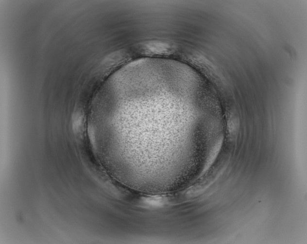 X0000112790079200909041420