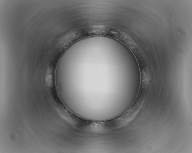 X0000112790080200909041420