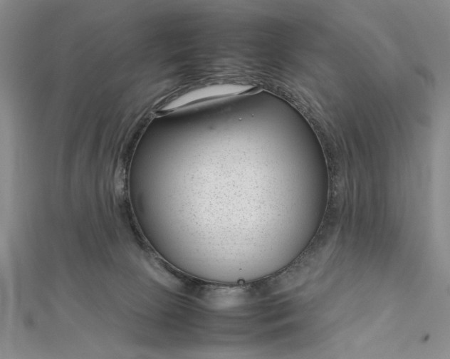 X0000112790081200909041421