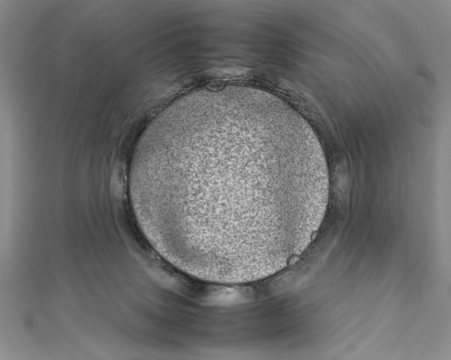 X0000112790083200909041421