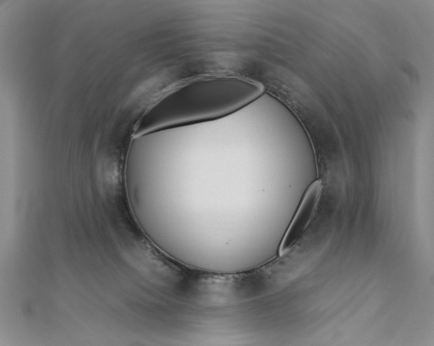 X0000112790084200909041421