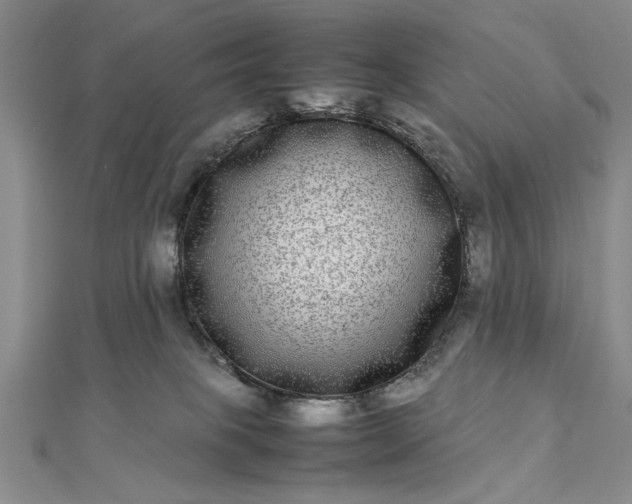 X0000112790085200909041421