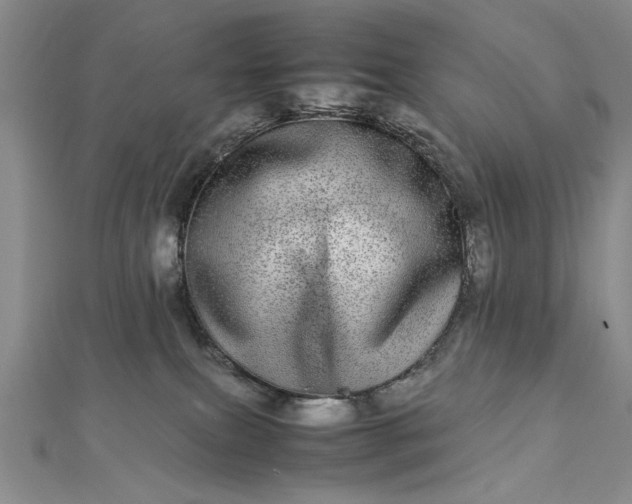 X0000112790087200909041421